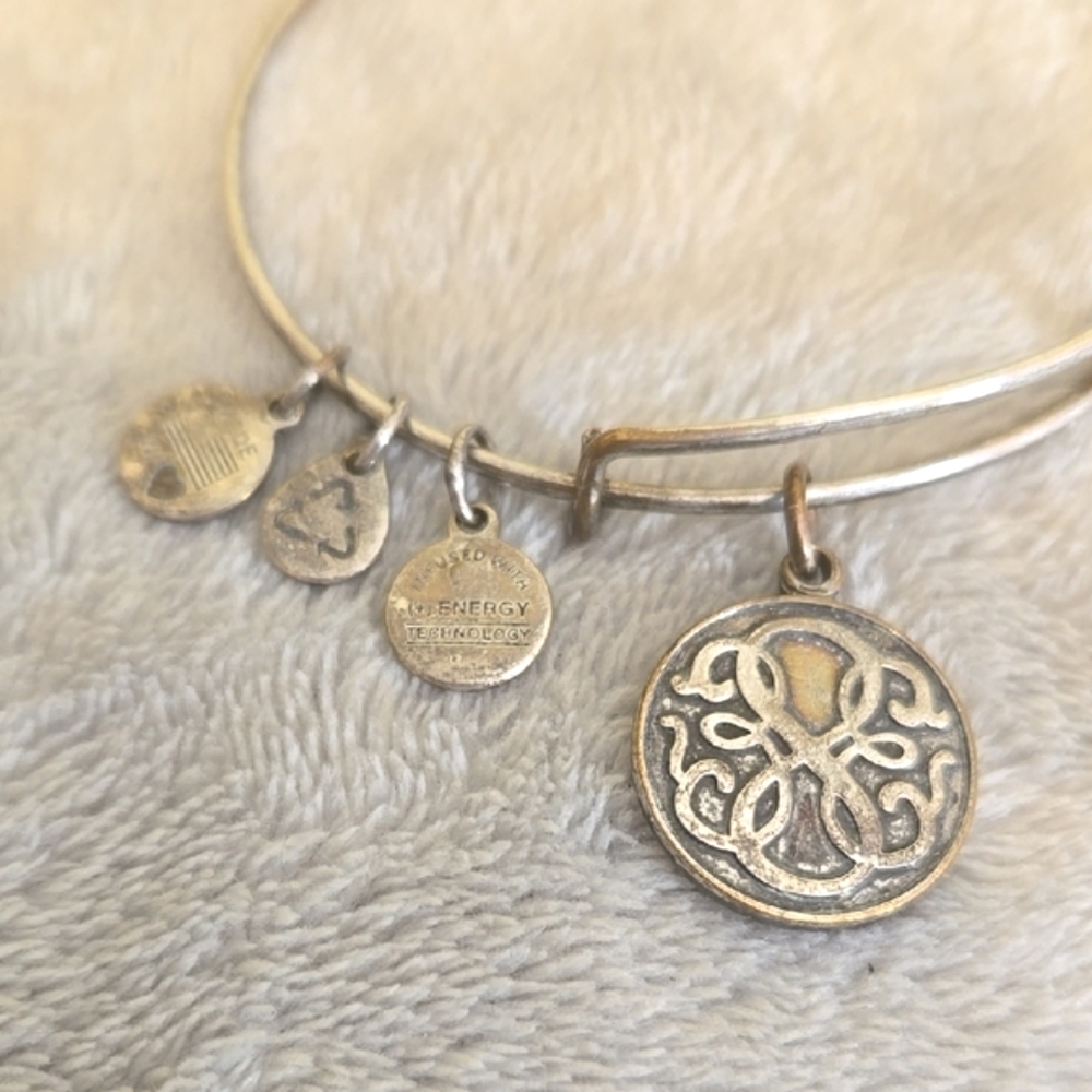 #042 Alex And Ani Silver Charm Bangle Bracelet - Picture 2 of 3